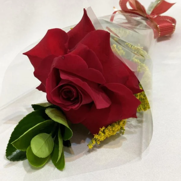 Botão de Rosa Colombiana