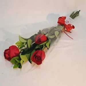 trio_rosas_nacionais.webp